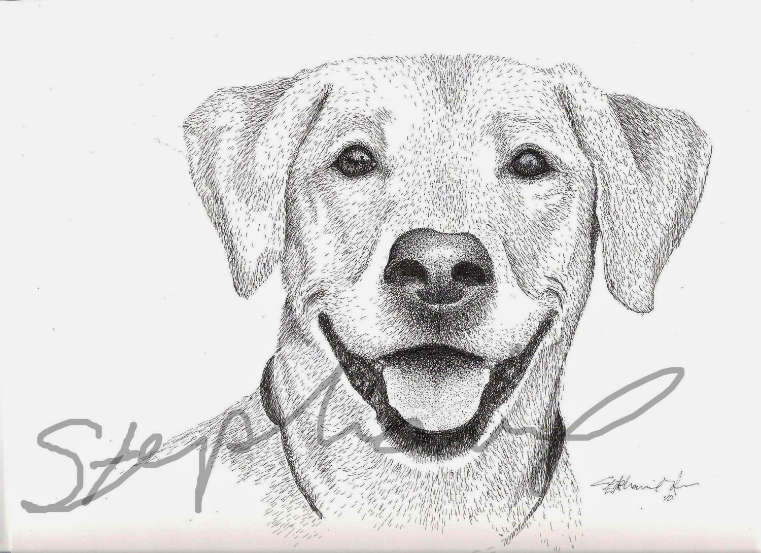 Pictures Of Dogs Drawings Dog draw drawing easy kids step simple cute ...