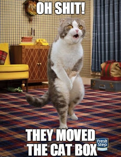 Cat Memes Photos Cat Memes Photos