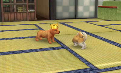 Kingnido's Blog: More Nintendogs! (+Cats)