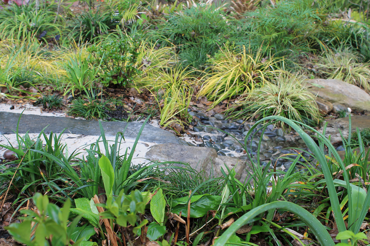 dry creek bed garden patio tips weeds