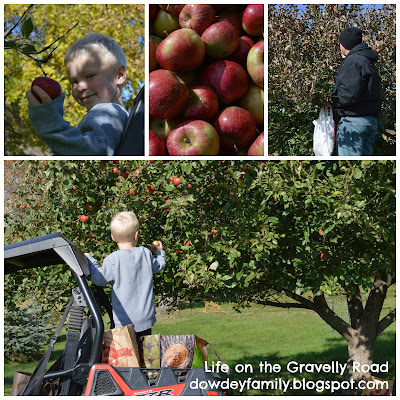 picking apples 
