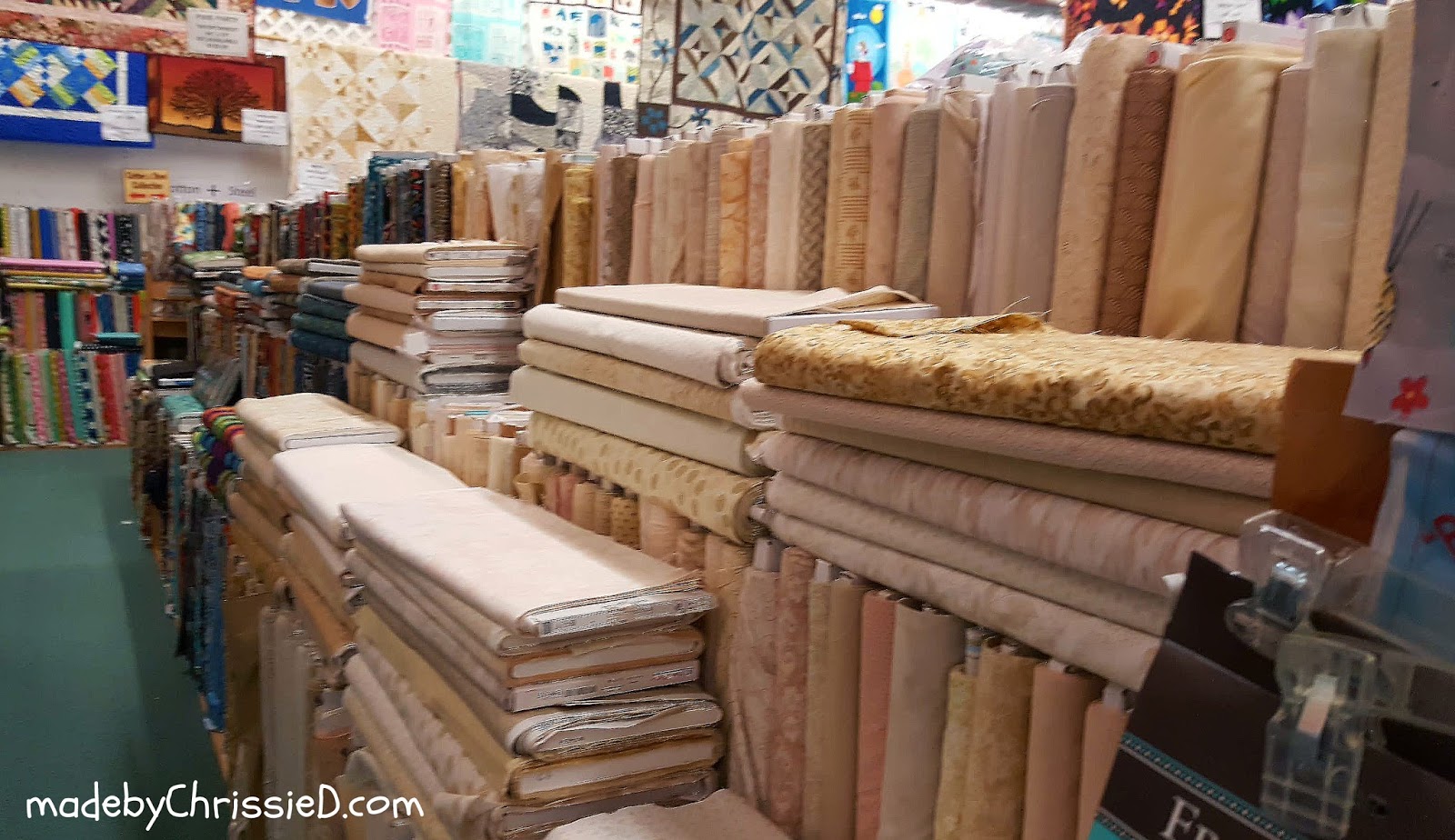 Chris Dodsley mbCD Exploring Florida The Quilt Place + Fabric