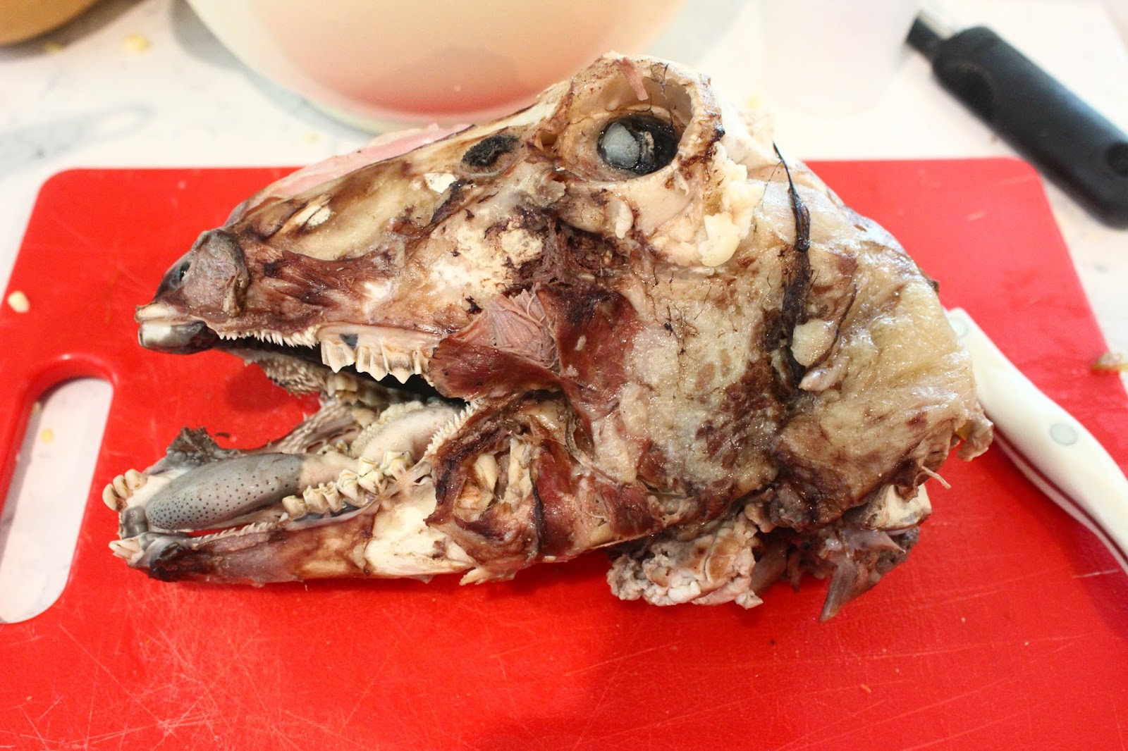 Cannundrums: Goat Head Soup for Lamb Head Food
17lplyp Cannundrums: Goat Head Soup for Lamb Head Food
17lplyp