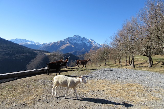 Itinérance De village en village Bordères Louron dimanche 18 décembre