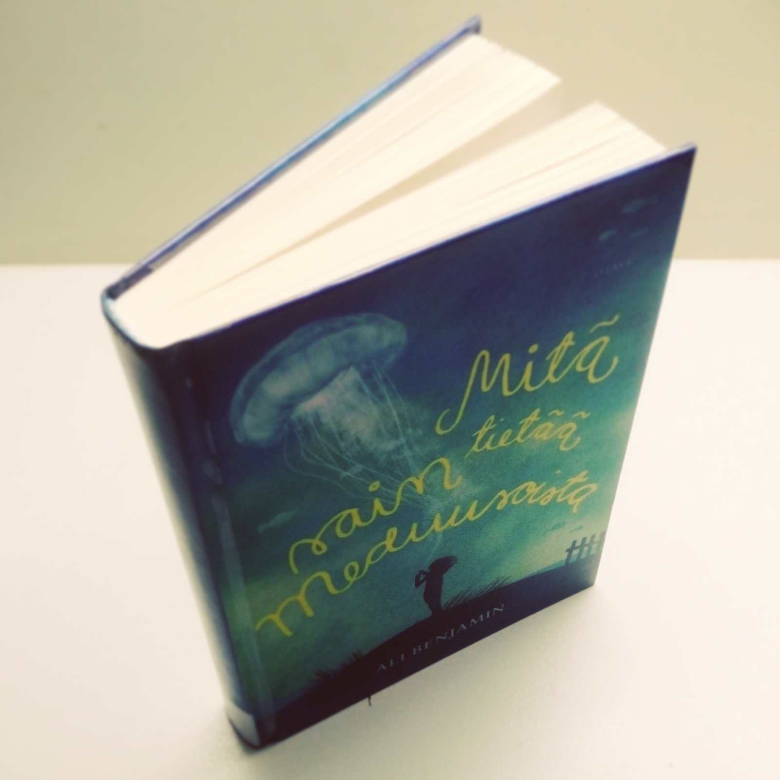 Eniten minua kiinnostaa tie: Ali Benjamin: Mitä sain tietää meduusoista