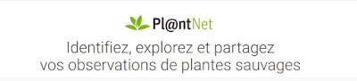 http://identify.plantnet-project.org/
