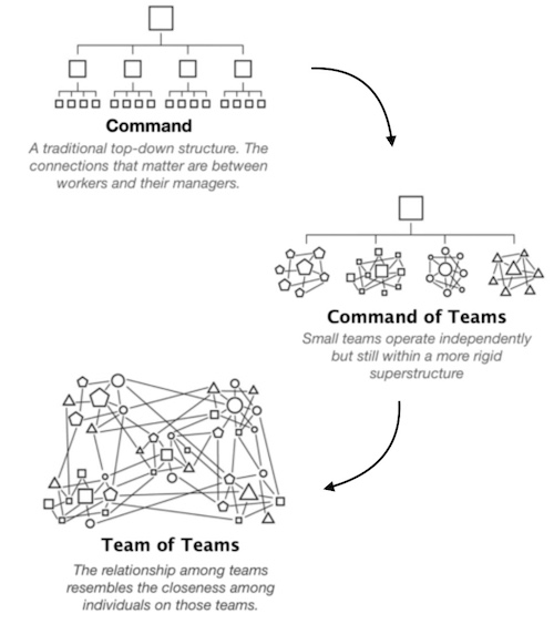 Team of Teams structure
