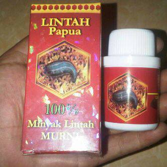 cara memanjangkan alat vital dengan daun kemangi cara memanjangkan alat vital dengan daun kemangi