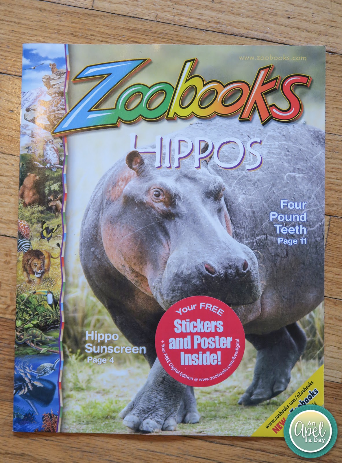 Zoobooks really gives a lot of insight into different animals.