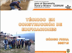 TÉCNICA EN CONSTRUCCIÓN DE EDIFICACIONES