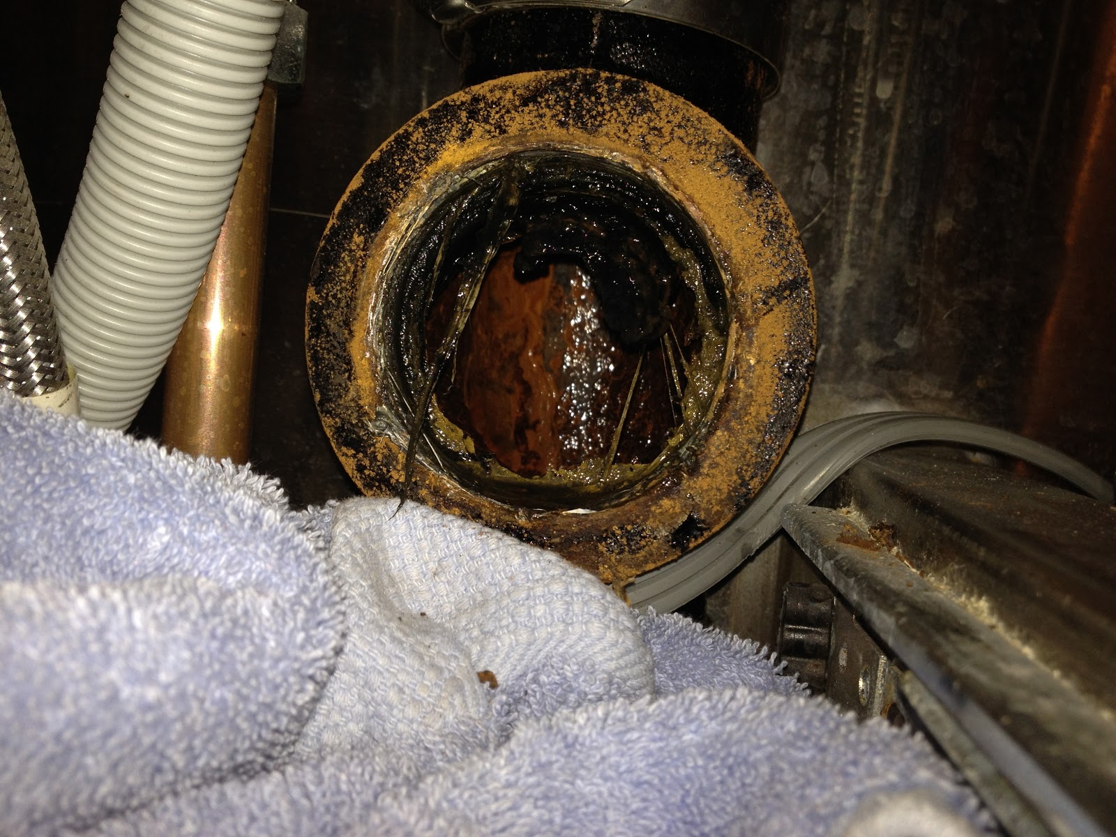 The Shingled House Clogged Pipes