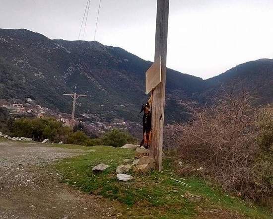 oreinh-naupaktia-kremase-skylo-se-kolona-gia-na-proeidopoihsei-gia-dhlhthria-fwtografies-sok