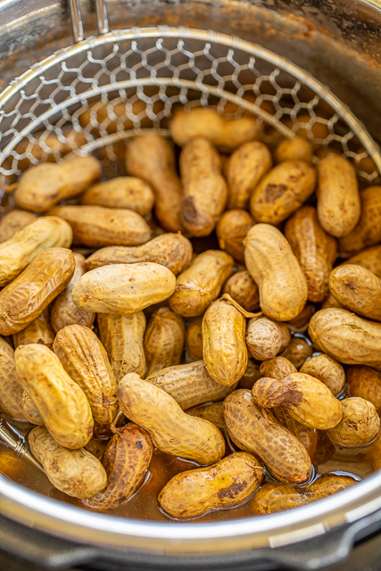 Instant Pot Boiled Peanuts - ready to eat in under an hour!! We love these boiled peanuts for tailgating. SO easy to make! Season with cajun seasoning, old bay or salt. Store leftovers in the refrigerator for up to 10 days. #instantpot #tailgating #peanuts #boiledpeanuts Instant Pot Boiled Peanuts - ready to eat in under an hour!! We love these boiled peanuts for tailgating. SO easy to make! Season with cajun seasoning, old bay or salt. Store leftovers in the refrigerator for up to 10 days. #instantpot #tailgating #peanuts #boiledpeanuts