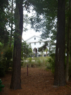daufuskie island exploring