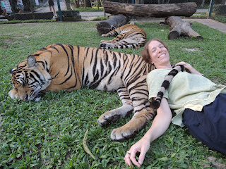 relaxing with a tiger