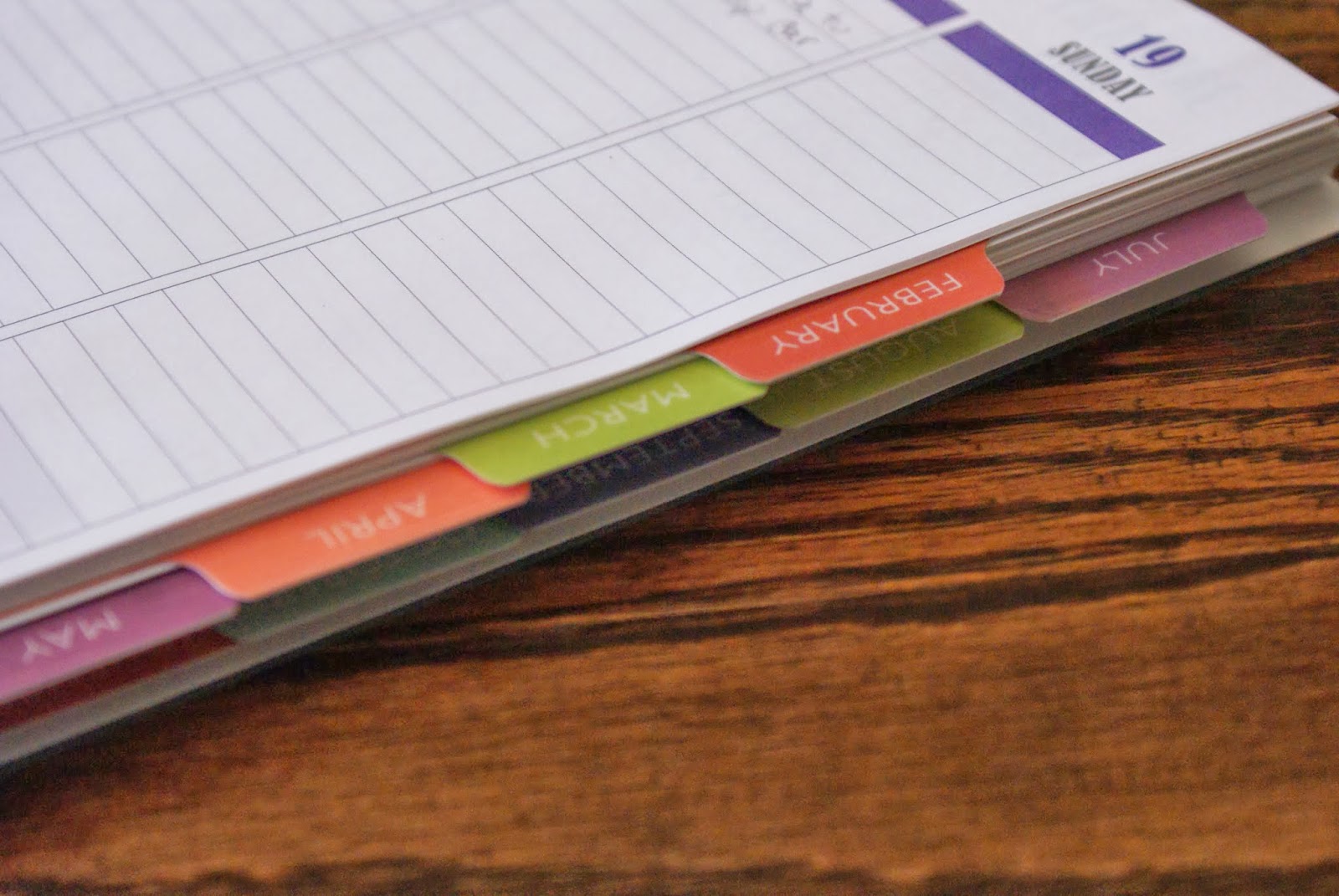 Nikkis' Nacs Plum Paper Designs Planner Review and Coupon Code