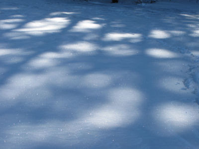 shadows on snow