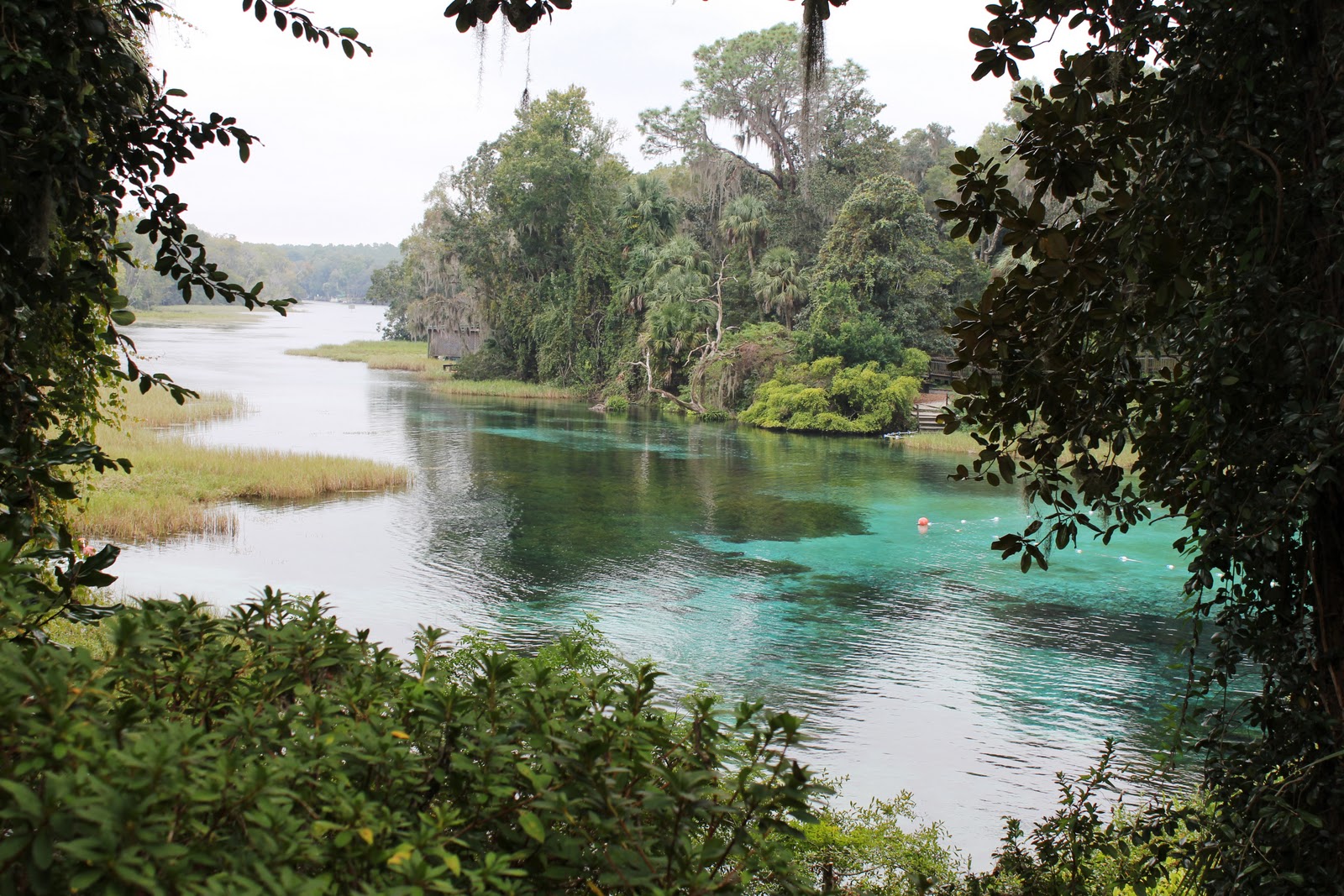 Views From Our Kayak: Rainbow River