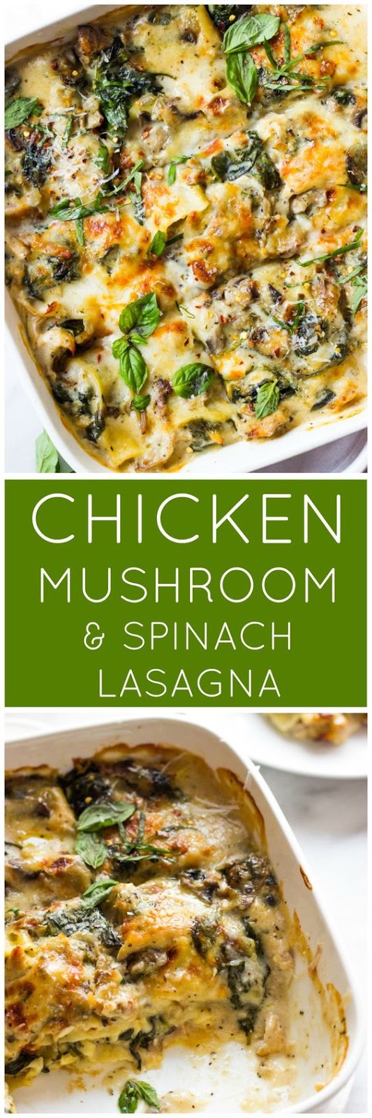 Chicken Mushroom and Spinach Lasagna Chicken Mushroom and Spinach Lasagna