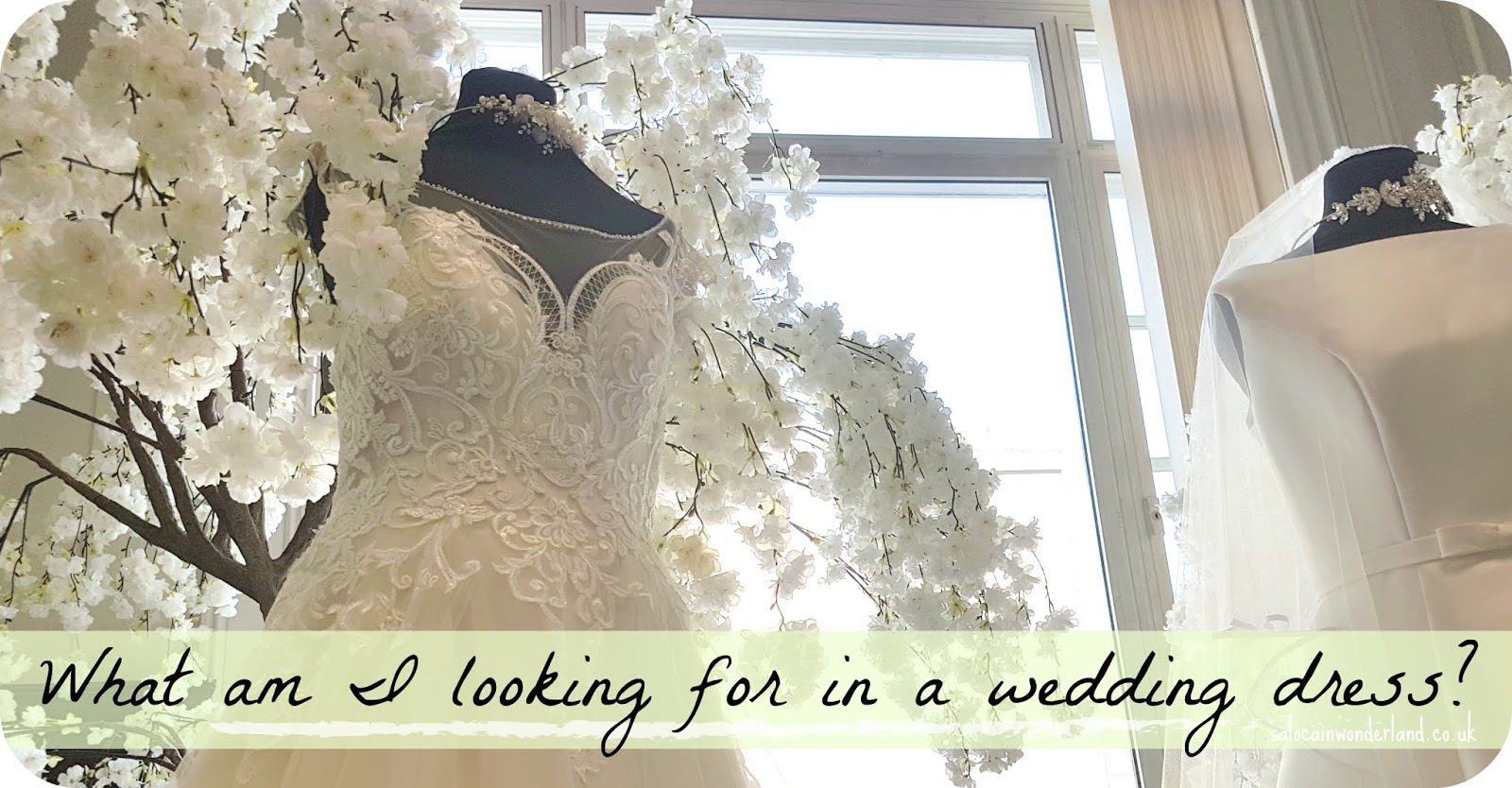 Saloca In Wonderland My Dream Wedding Dress Saloca In Wonderland My Dream Wedding Dress