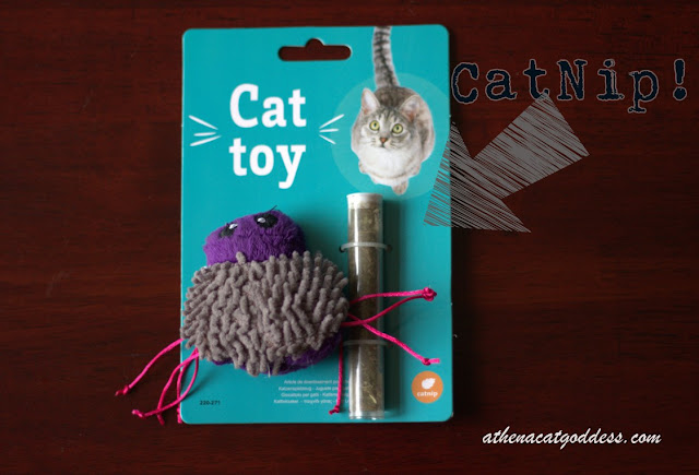 catnip toy