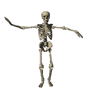 Resultado de imagen de gifs animados el cuerpo humano