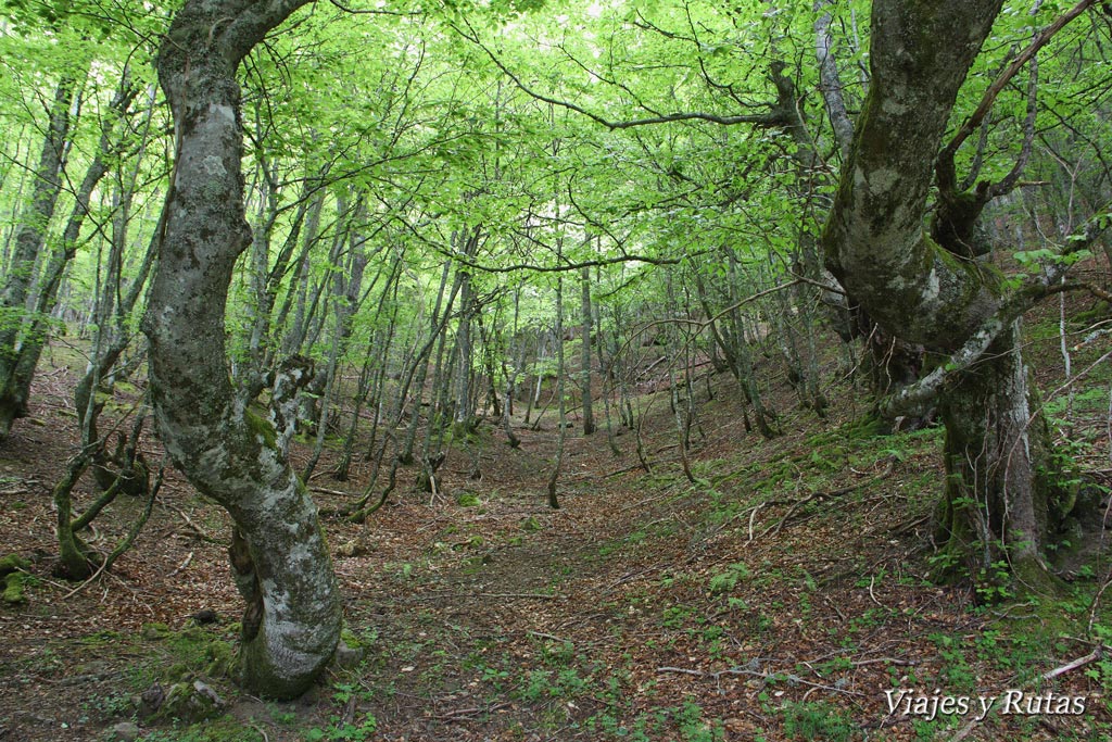 Tabayón del Mongallu