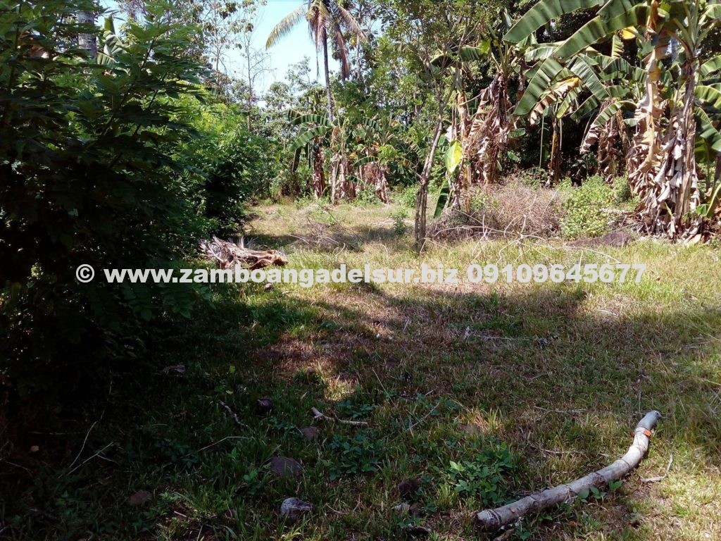 Zamboanga del Sur Properties FOR SALE 1,600 SQ.M LOT AT PAGADIAN CITY