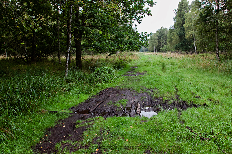 szlak Słowińców 