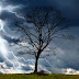 Thoughts of Family in a Storm