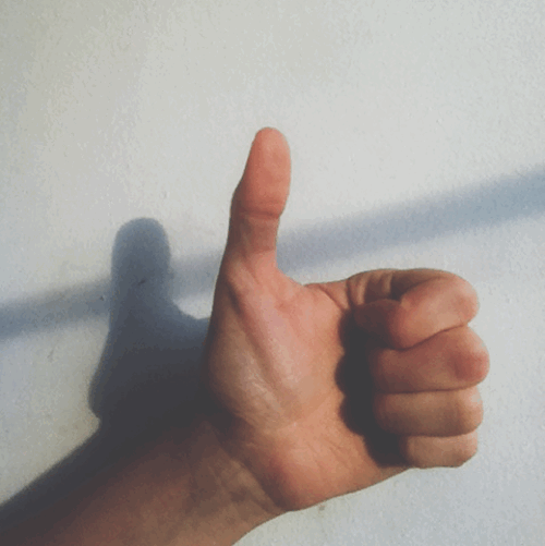 The Hip Joint The final two 'short thumb muscles' 3) Abductor Pollicis