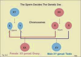 connect science to divinity gotra genetic science of
