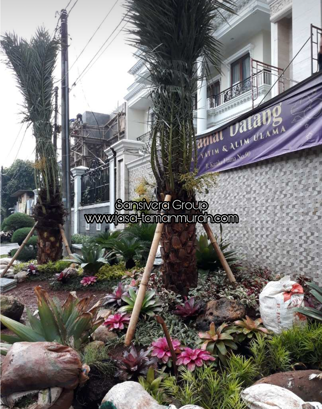 Daftar Harga Tanaman Hias, Buah, Pelindung, Herbal dan Tanaman Pagar