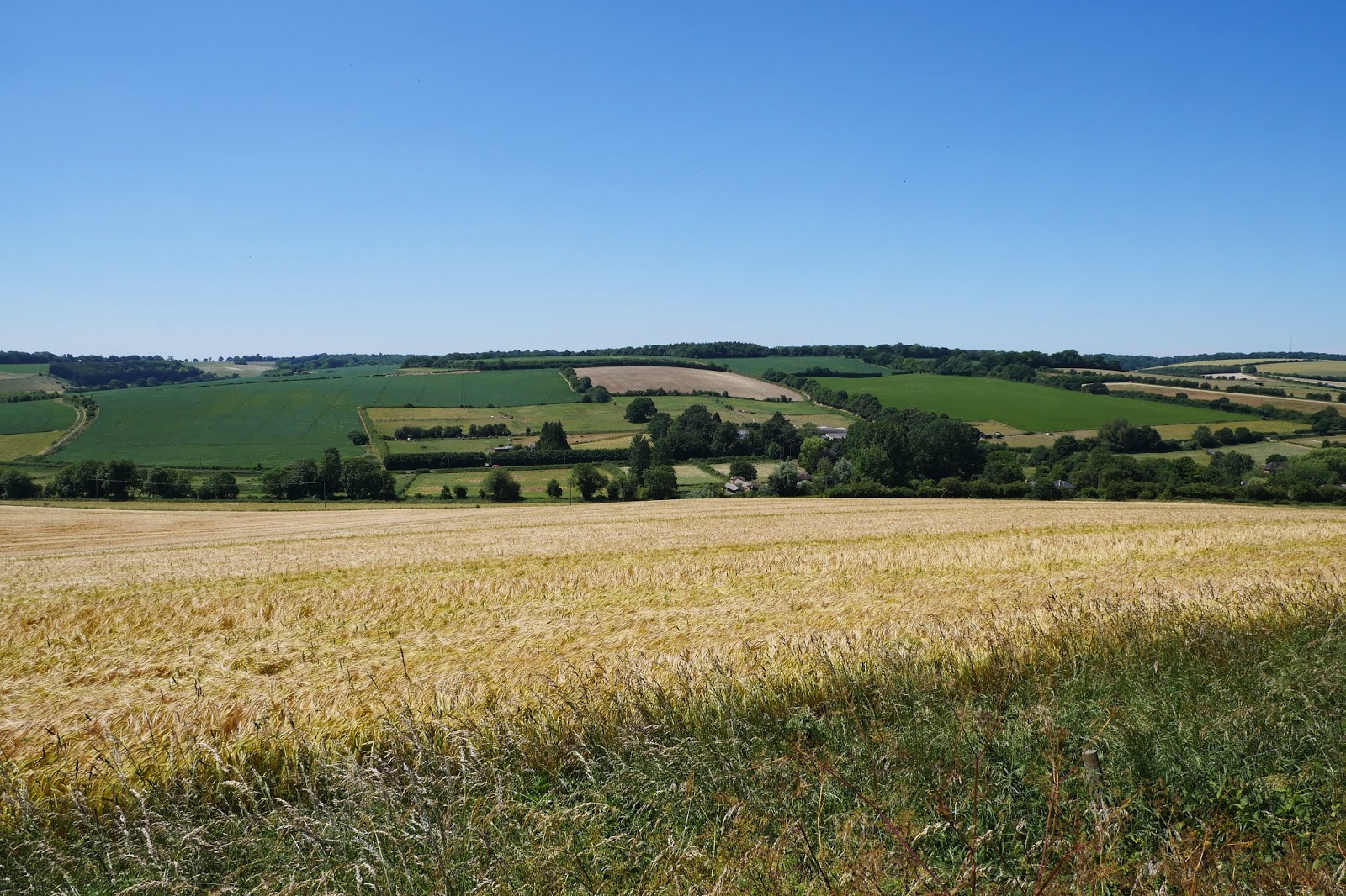 Walking in the country Lambourn to Welford (Lambourn Valley Way 2)