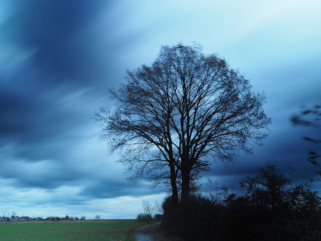 Landschaft bei Leopoldshöhe Ein Baum an einer Straße. Im Hintergrund der Ort Leopoldshöhe