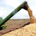 Balança comercial do agronegócio tem melhor resultado para junho desde 2014