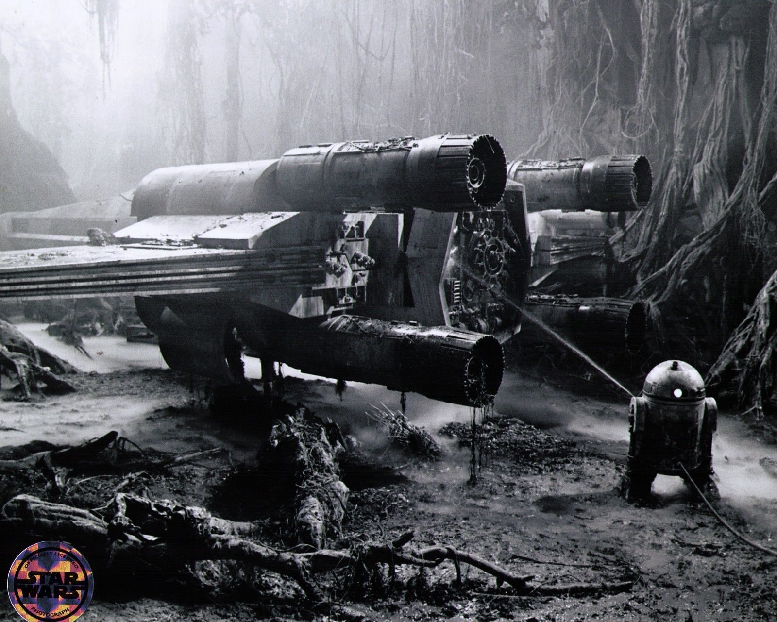 STAR WARS AFICIONADO WEBSITE CLASSIC IMAGE DIRTY DAGOBAH!