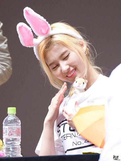 TWICE Sana Transforms Into An Adorable Bunny! | Daily K Pop News
