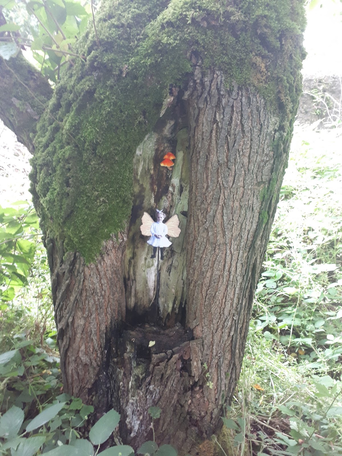 Creative Ardagh Fairies Photography Competition