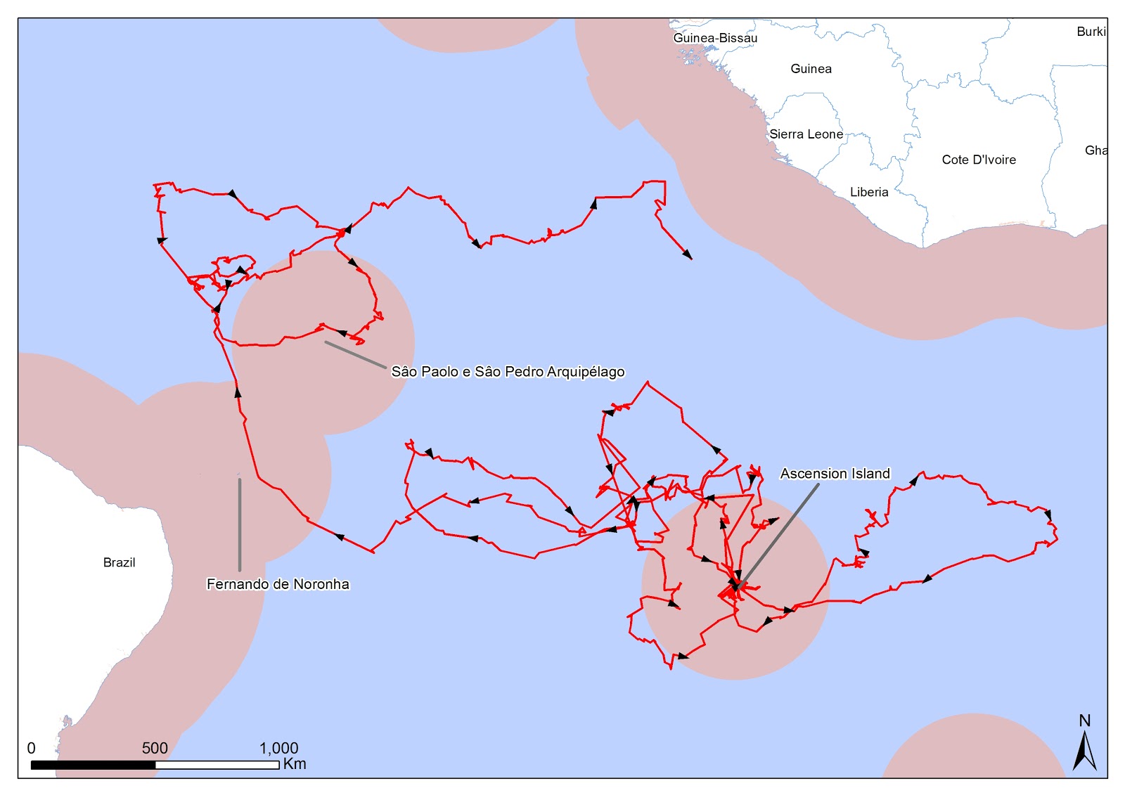 map of the journey of a juvenile ascension frigatebird that led to the first record in the americas the pink areas constitute the exclusive economic zones map of the journey of a juvenile ascension frigatebird that led to the first record in the americas the pink areas constitute the exclusive economic zones