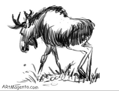 Moose is a sketch by artist and illustrator Artmagenta