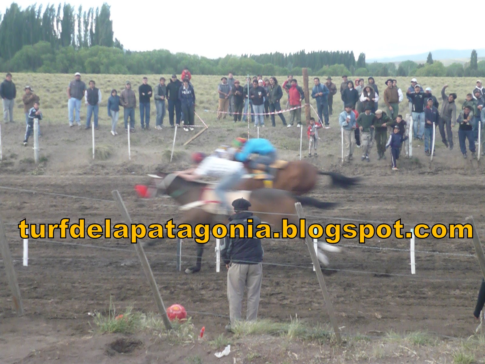 TURF DE LA PATAGONIA 20/11 RESULTADO DE CARRERAS DE CABALLOS EN JUNIN