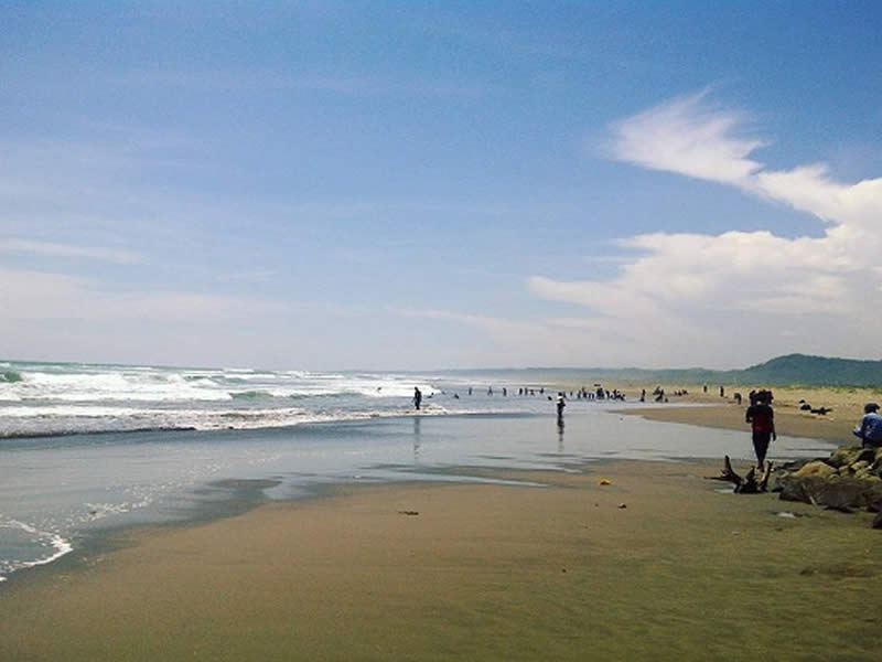 Pantai Cipatujah Pantai Cipatujah Tempat Wisata di Tasikmalaya Terbaru