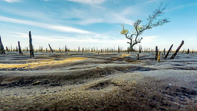 pantai sepahat di kabupaten bengkalis