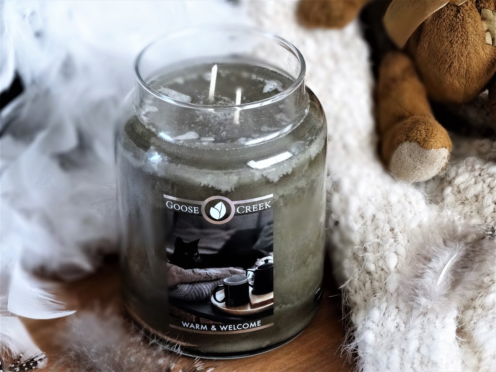 GOOSE CREEK WARM & AVIS