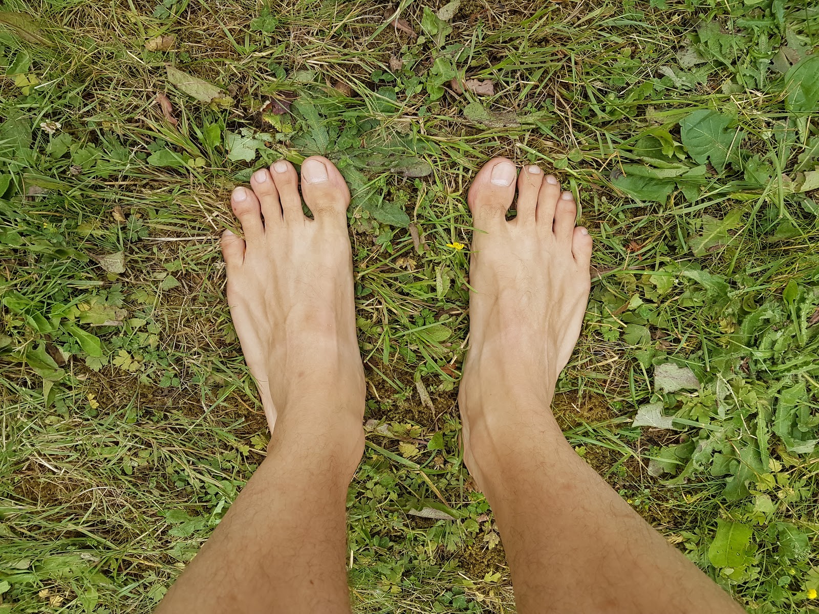 Leveled Up Human: Barefoot Series: Part I