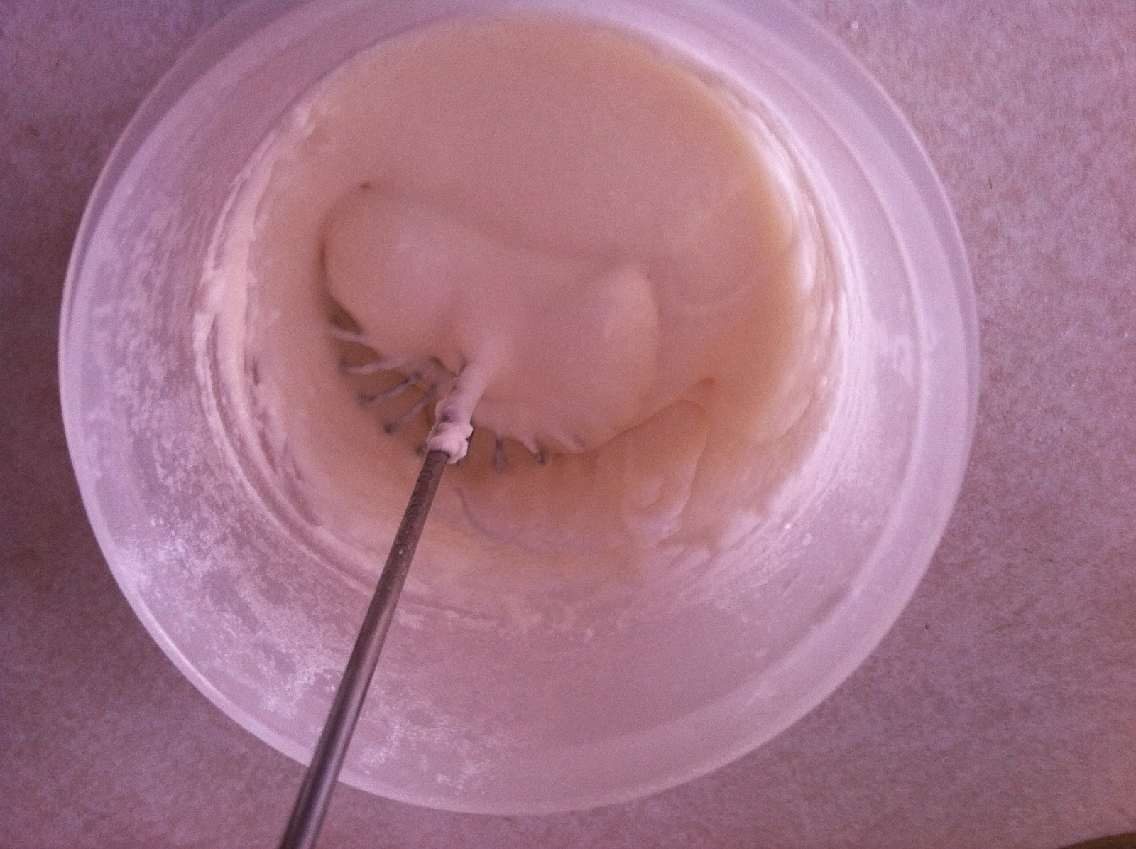 my family prepared Shortening Powder