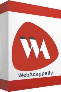 WebAcappella Responsive Business ortable