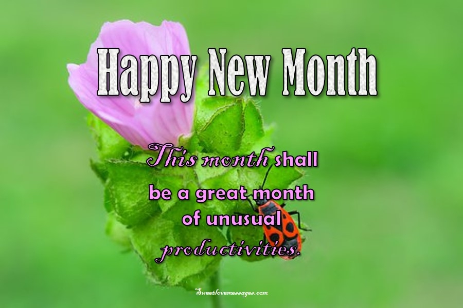 new month sms