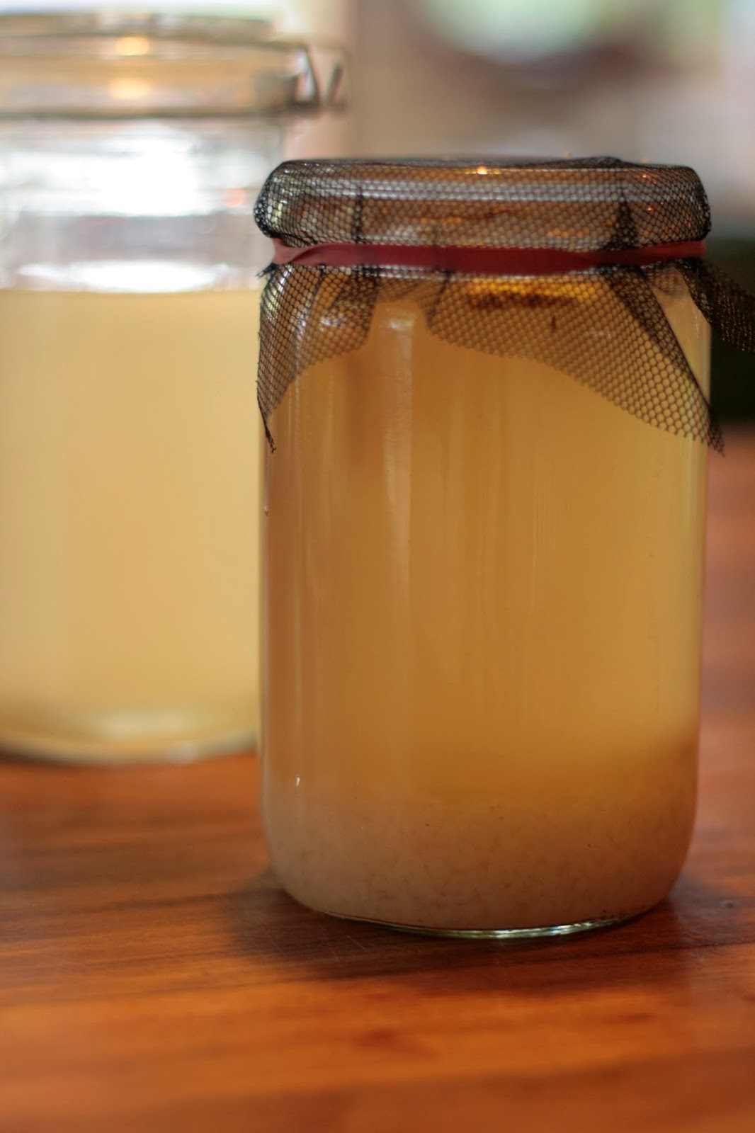 Lempo Bee Brewing water kefir